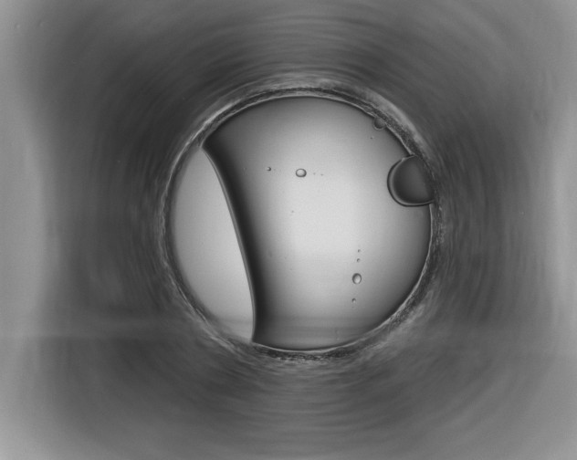 X0000116590786200912101331