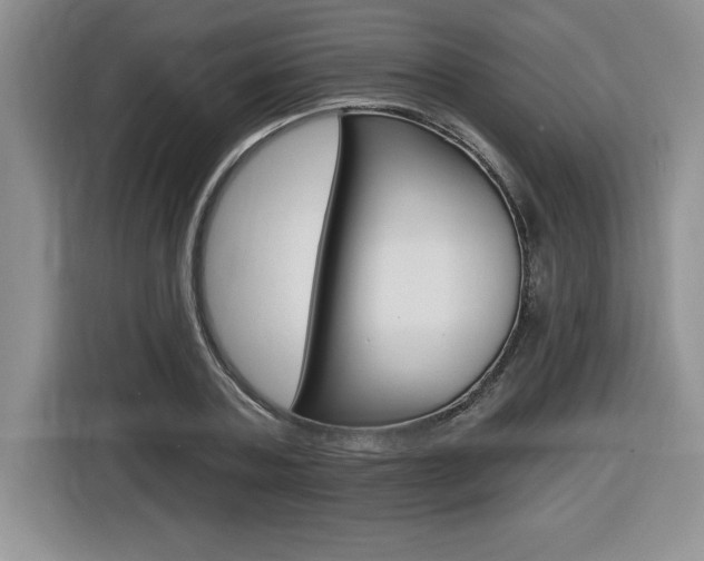 X0000116590787200912101331