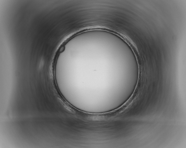 X0000116590789200912101331