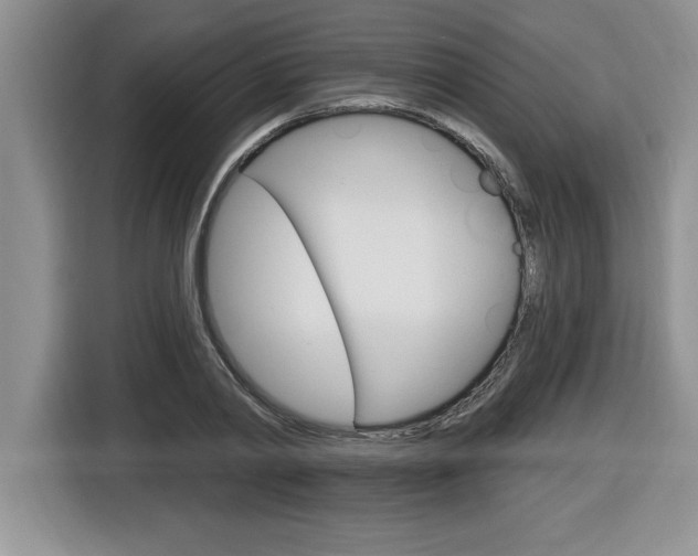 X0000116590790200912101331
