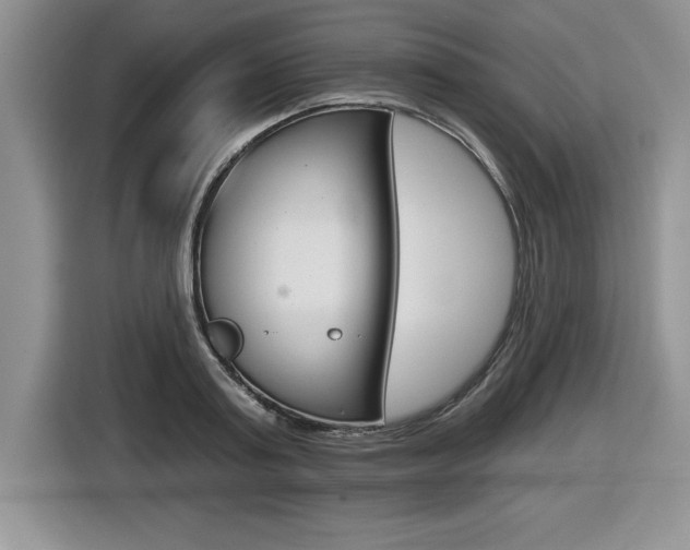 X0000116590795200912101331