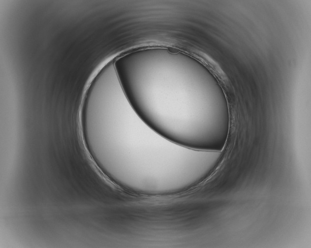 X0000116590796200912101331