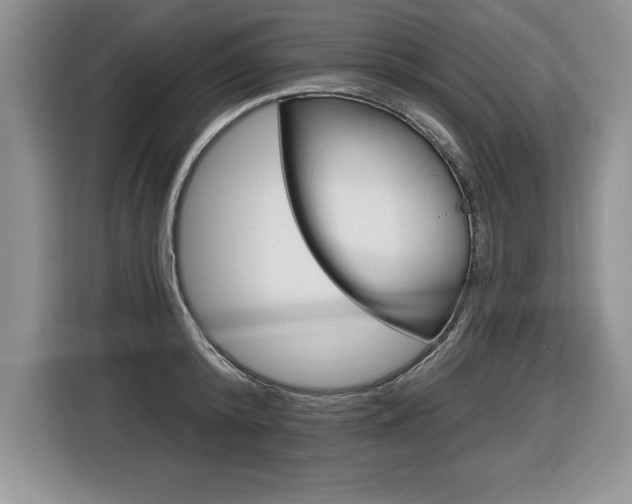 X0000116590800200912101331