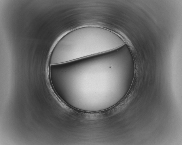X0000116590804200912101331