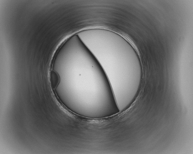 X0000116590805200912101331