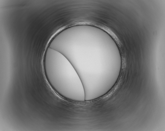 X0000116590806200912101331