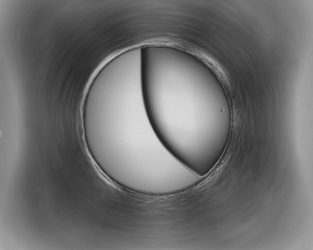 X0000116590808200912101331