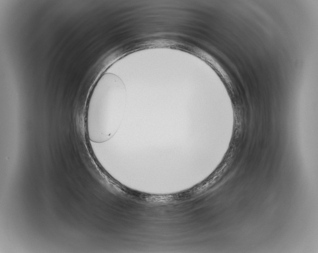 X0000116590810200912101330