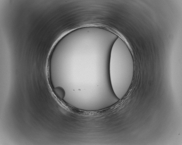 X0000116590811200912101330