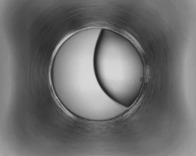 X0000116590812200912101330