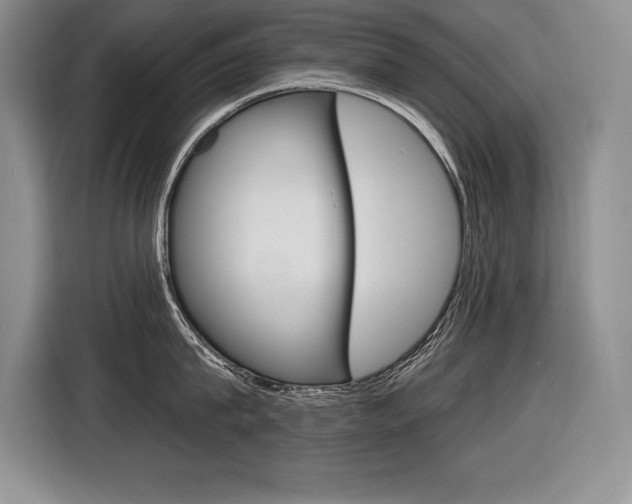 X0000116590815200912101330