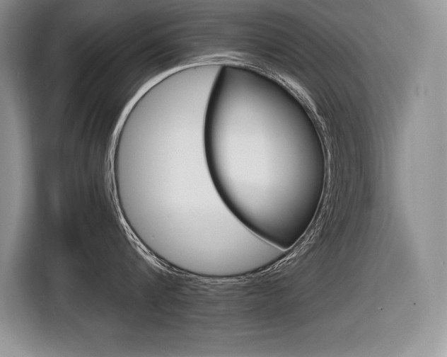 X0000116590816200912101330