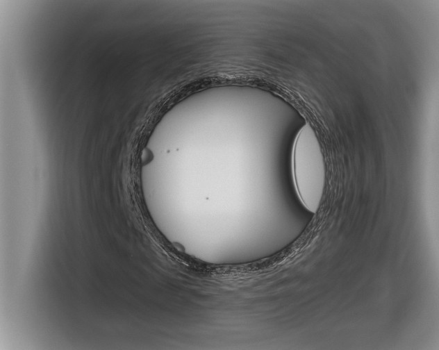 X0000116590817200912101330