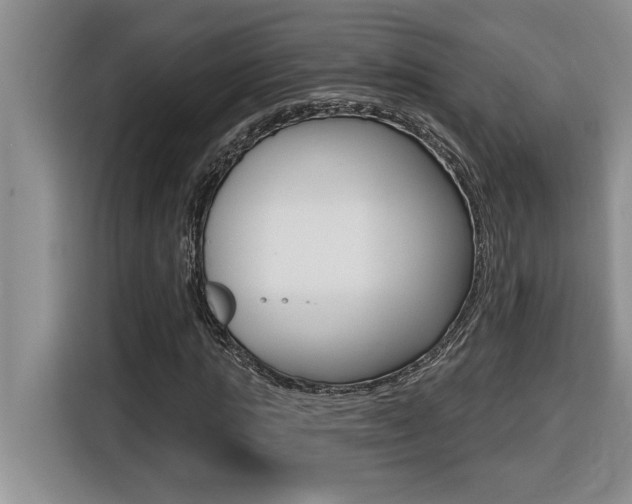 X0000116590821200912101330