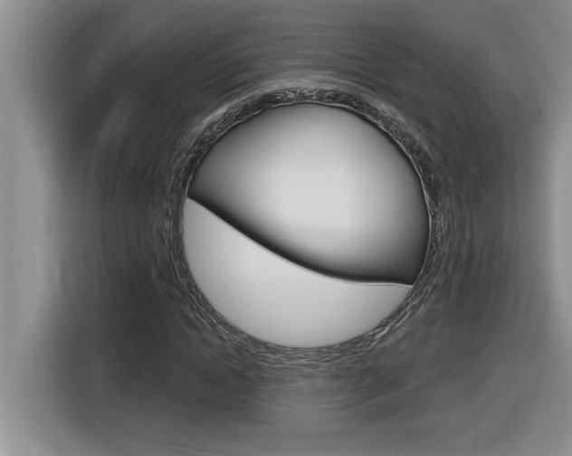 X0000116590822200912101330