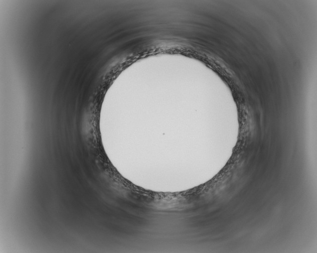X0000116590824200912101330