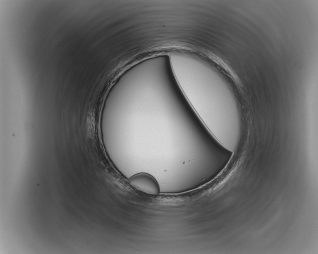 X0000116590825200912101330