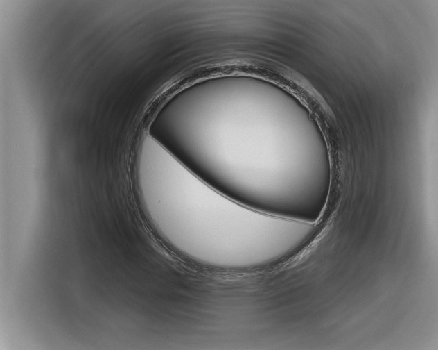 X0000116590826200912101330