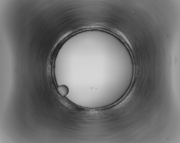 X0000116590827200912101330