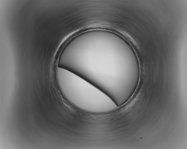 X0000116590830200912101330