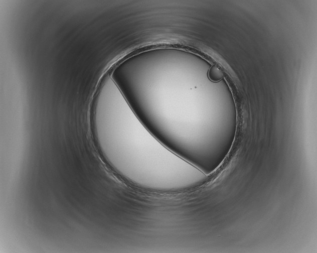 X0000116590834200912101330