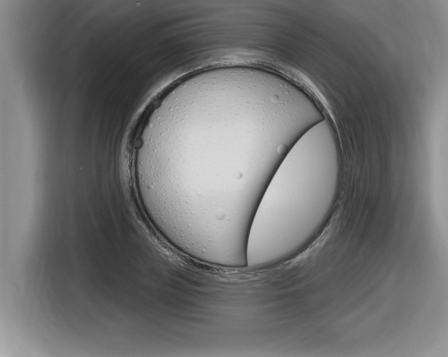 X0000116590835200912101330