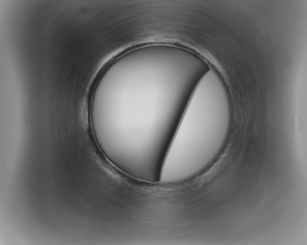 X0000116590838200912101330