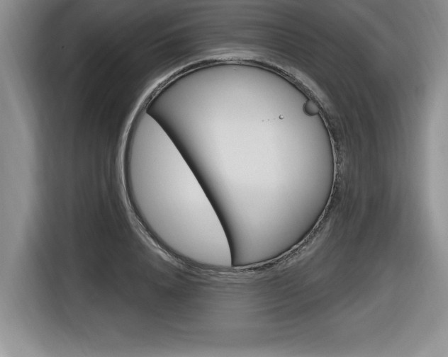 X0000116590840200912101330