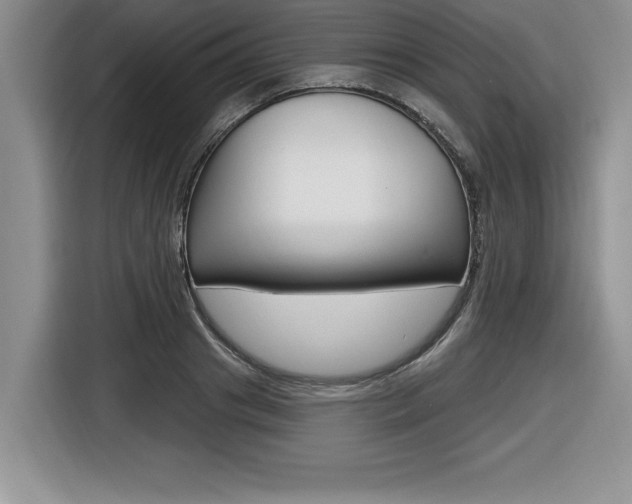 X0000116590841200912101330