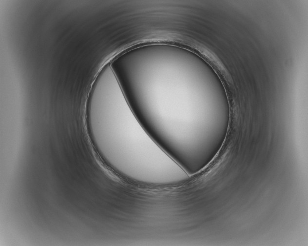 X0000116590842200912101330