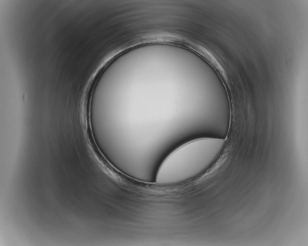 X0000116590843200912101330