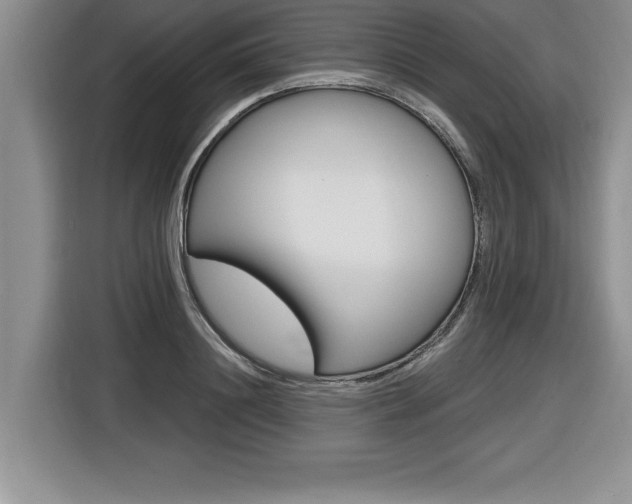 X0000116590844200912101330