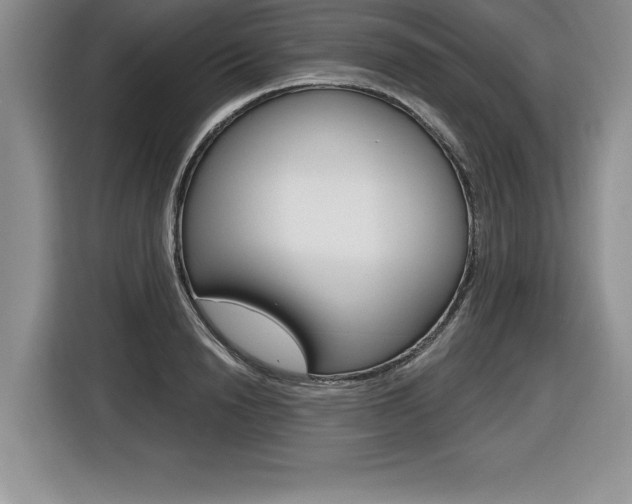 X0000116590846200912101330