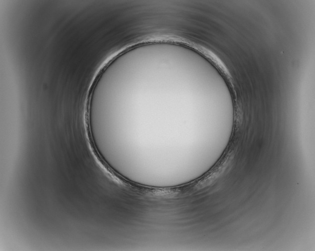 X0000116590847200912101330