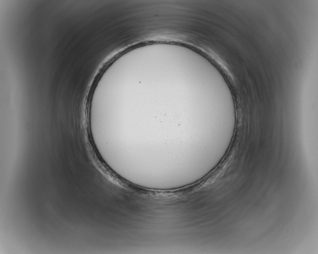 X0000116590848200912101330