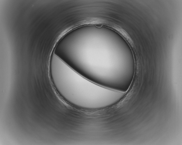X0000116590850200912101330