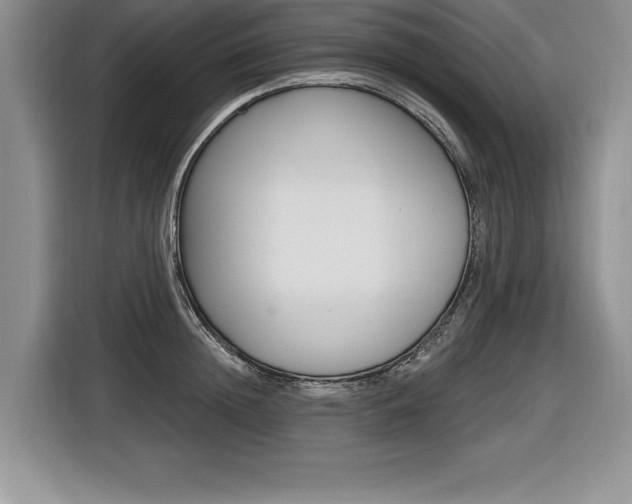 X0000116590852200912101330
