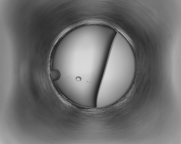 X0000116590853200912101330