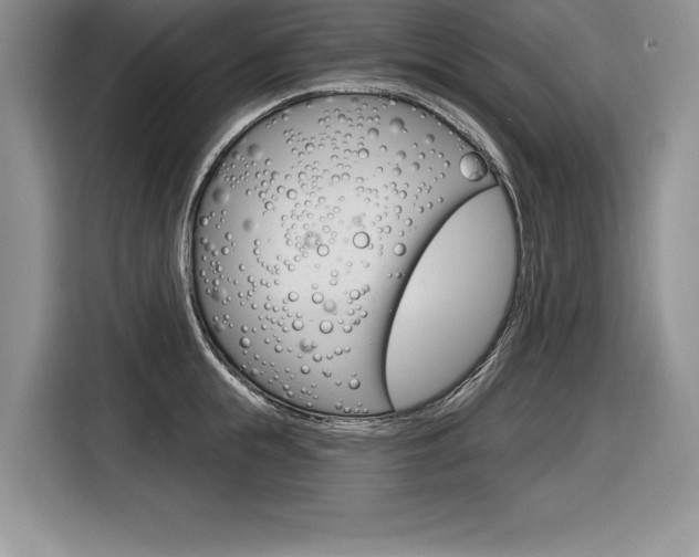 X0000116590855200912101330