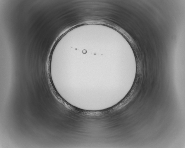 X0000116590856200912101330