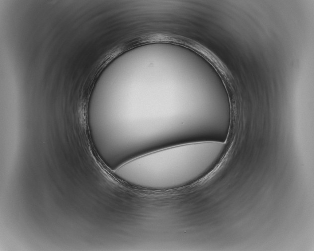 X0000116590857200912101330