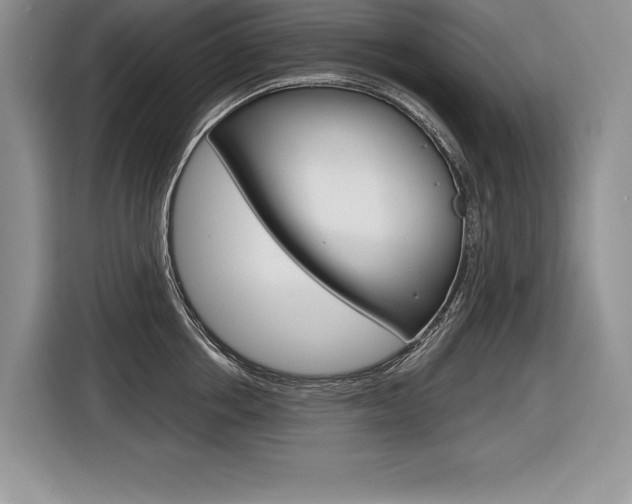 X0000116590858200912101330