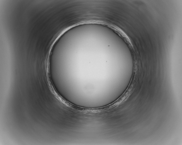 X0000116590860200912101330