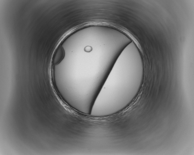 X0000116590861200912101330
