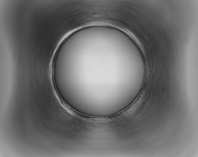 X0000116590862200912101330