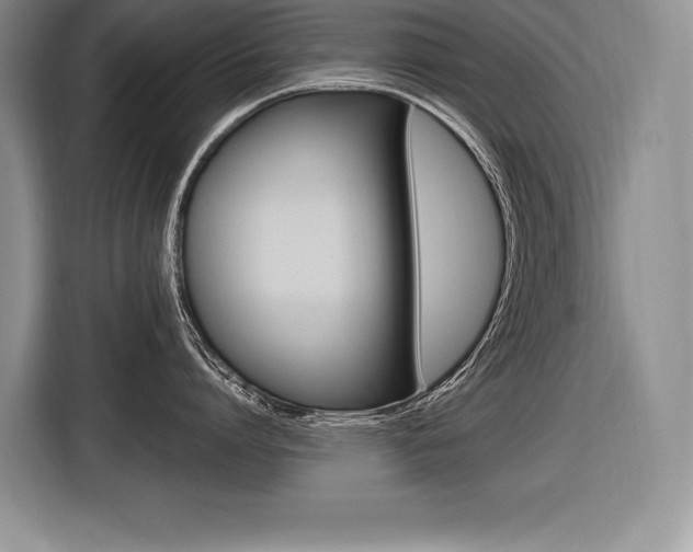 X0000116590864200912101330