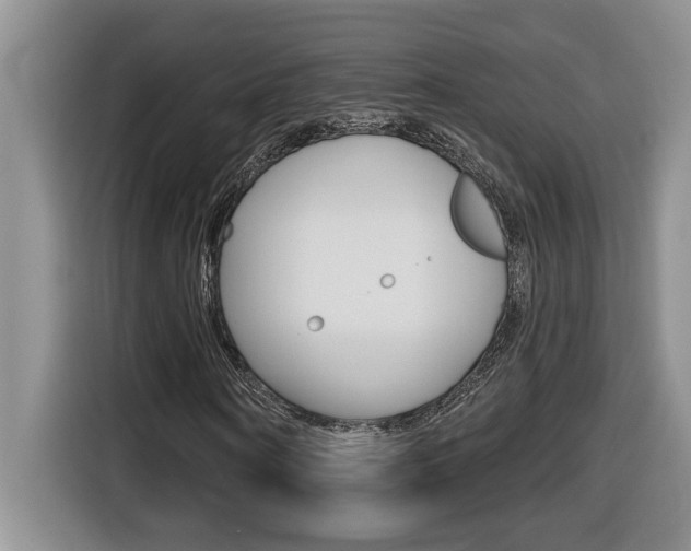 X0000116590866200912101330