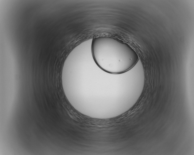 X0000116590868200912101330
