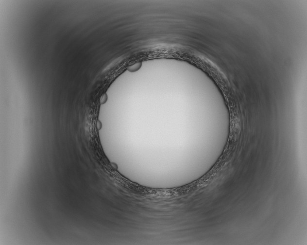 X0000116590869200912101330