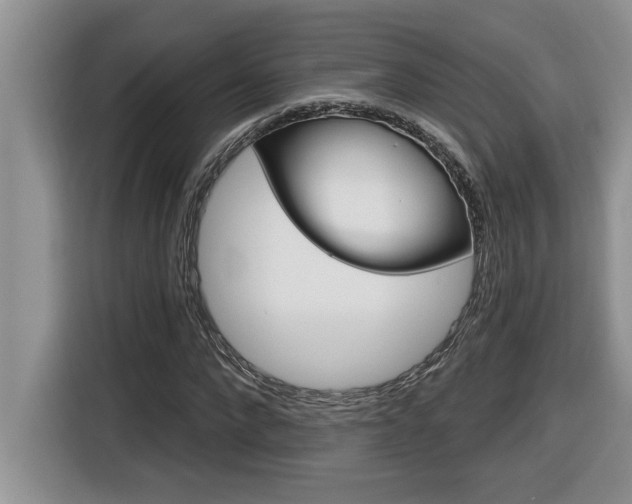 X0000116590872200912101330